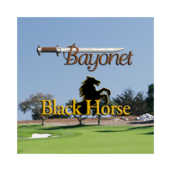 Bayonet and Black Horse
