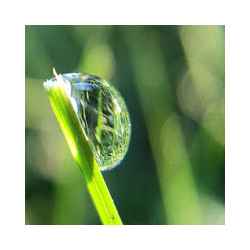 تطبيق Transparent Magic تنزيل تطبيق Transparent Magic Free لـ Android