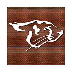 تطبيق Cheetah Gym