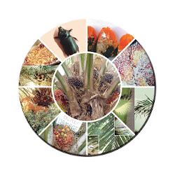 Oil Palm Pests English