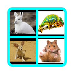 İngilizce Hayvanlar Alfabetik