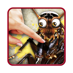 دودة الجذاب