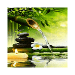 Bamboo Water Live Wallpaper