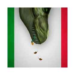 تطبيق Toposaurios