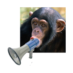 لعبة Zoo Sound Board