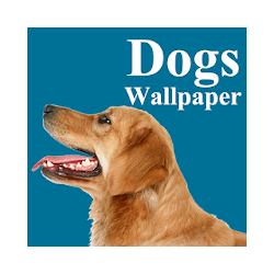 الكلاب خلفية