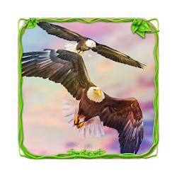Eagle Racing Simulator Animal Race Game تنزيل Eagle Racing Simulator Animal Race Game Free لـ Android