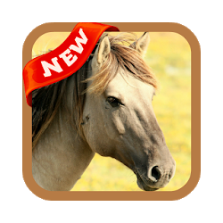 تطبيق Horse Wallpaper