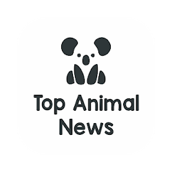 تطبيق Top Animal News