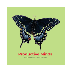 Productive Minds Preschool Gurugram