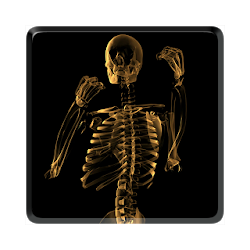 Skeleton Video Live Wallpaper