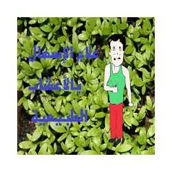 علاج الإسهال بالأعشاب الطبيعية