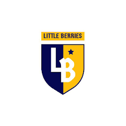 تطبيق Little Berries