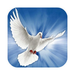 تطبيق Espiritu Santo