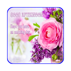 Happy Afternoon Day Images