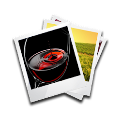 Fotos vinos y bodegas