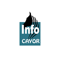 تطبيق cayorinfo