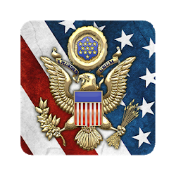 3D USA Coat of Arms  Flag LWP