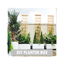 ديي مربع الغراس فكرة