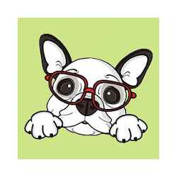 Veterinária PanDog Vaillants