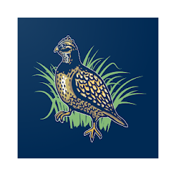 تطبيق Quail Tools