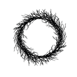 تنزيل Triad Adventist Fellowship Free لـ Android