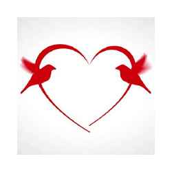 Best Shayari Collection