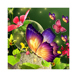 Butterfly Wallpaper HD