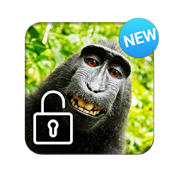 قفل الشاشة سعيد قرد