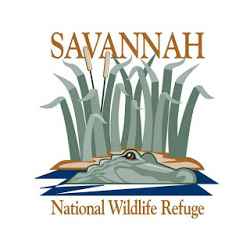 Savannah NWR Tour