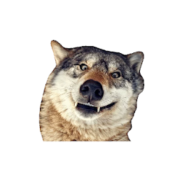 Animais - WAStickerApps