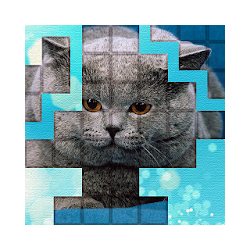 PicPu - Cat Picture Puzzle
