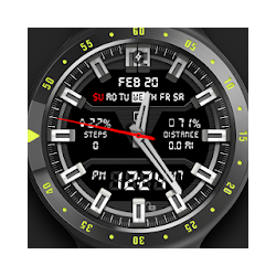 Shield Watch Face