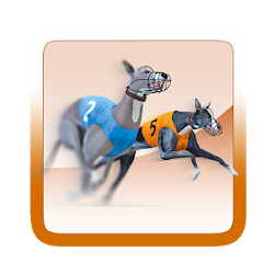 Pro Racing Greyhound