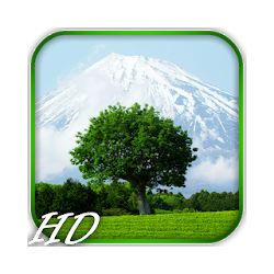 Mount Fuji Video Wallpaper