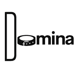 Domina Dominant Women BDSM  Kinky Dating