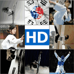 Taekwondo Martial Arts HD Wallpaper