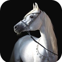 تطبيق Horse Wallpaper HD