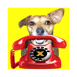 Lista São Bento - SC