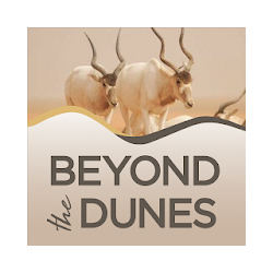 تطبيق Beyond the Dunes