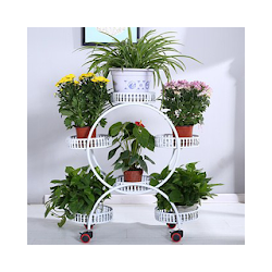 الحديد زهرة وعاء الجرف