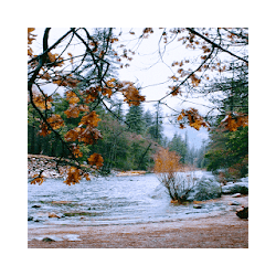 Autumn River Live Wallpaper