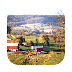 تطبيق Illinois Local News