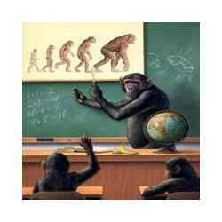 صور مضحكة 26