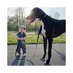 صور مضحكة 38