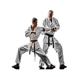 شوتوكان كاراتيه