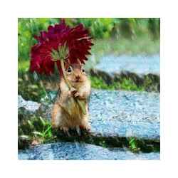 Смешни снимки w