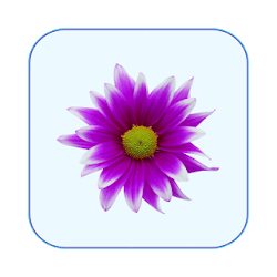 تطبيق Every Day Prayers