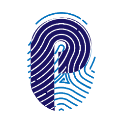 Privatise Business VPN