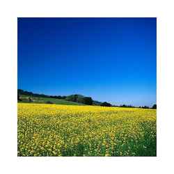 تنزيل تطبيق sha1 Free لـ Android